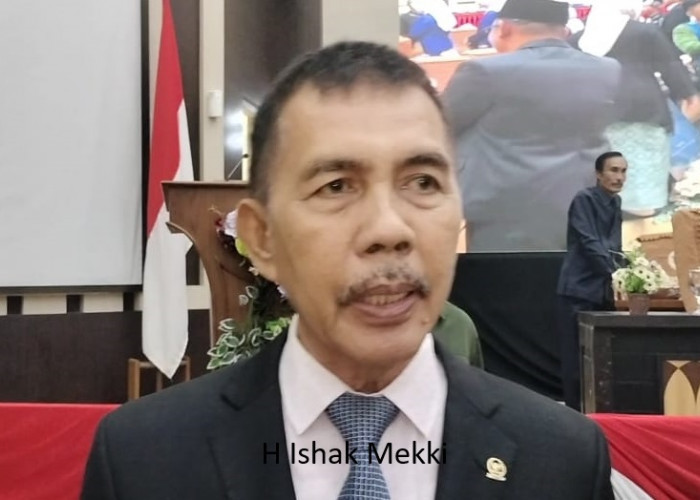 Anggota DPR RI Ishak Mekki Dorong Pembangunan Jembatan Penghubung di Air Sugihan Kabupaten OKI