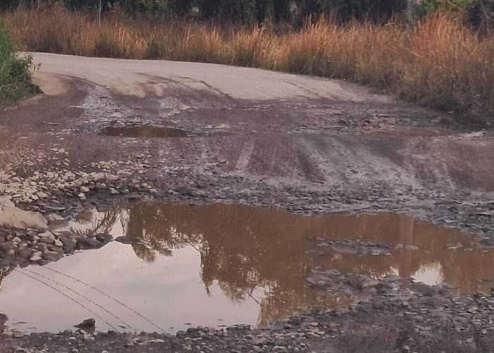 Perbaikan Jalan Cor Beton Batukuning - Kurup Jadi Skala Prioritas