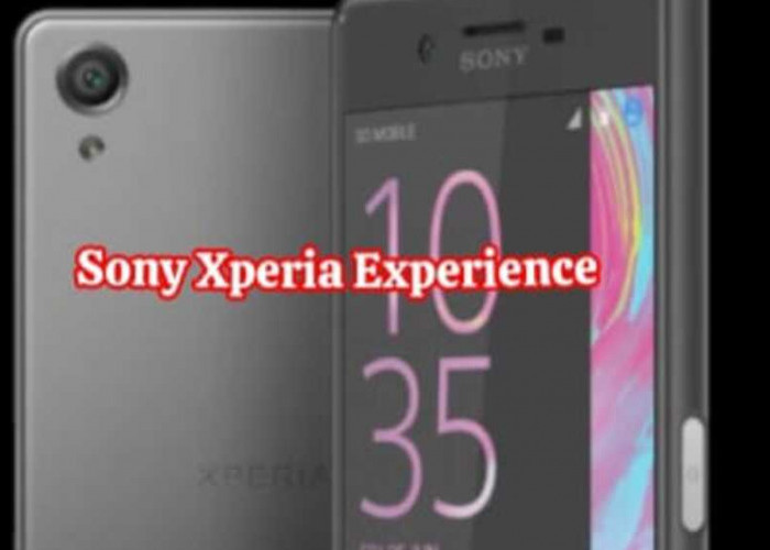 Sony Xperia Xperience: Menghadirkan Era Baru Sinematografi Ponsel, 8K dan Lebih Jauh