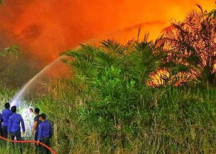 Tercatat Sejak Awal Agustus Lalu, Lebih dari 100 Hektar Lahan Tidur di Ogan Ilir Terbakar