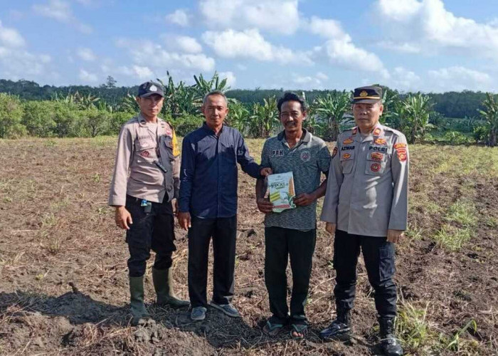 Dukung Swasembada Pangan Nasional, Tanam Jagung Seluas 1 Hektar