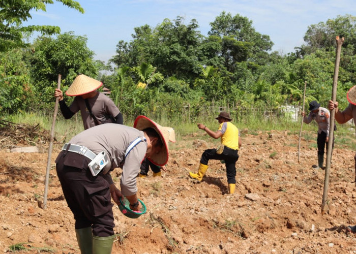 Polisi-Petani Kolaborasi Tanam Jagung