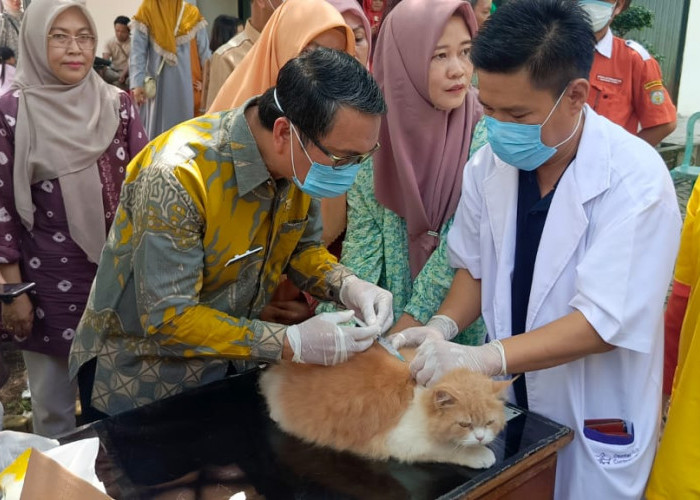 Dinas Pertanian OKU Gelar Gebyar Vaksin Hari Rabies Sedunia 2024