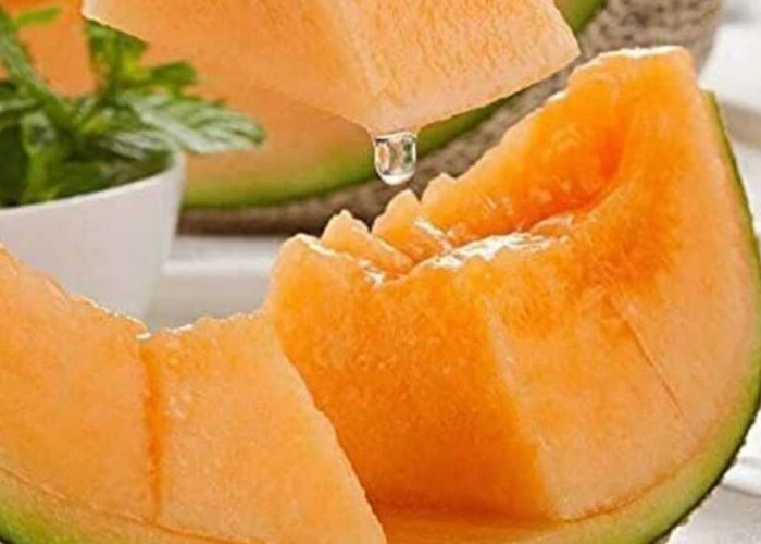 Manfaat Luar Biasa Buah Melon untuk Kesehatan dan Kecantikan