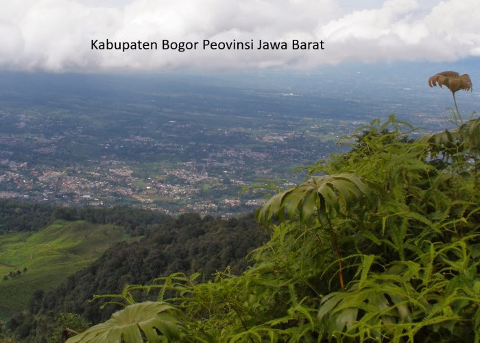 Pemekaran Wilayah Kabupaten Bogor Barat: Langkah-Langkah Menuju Otonomi Baru di Jawa Barat