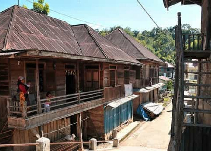 Rumah Larik Budaya Khas Kota Sungai Penuh Calon Ibukota Provinsi Puncak Andalas Pemekaran 3 Provinsi
