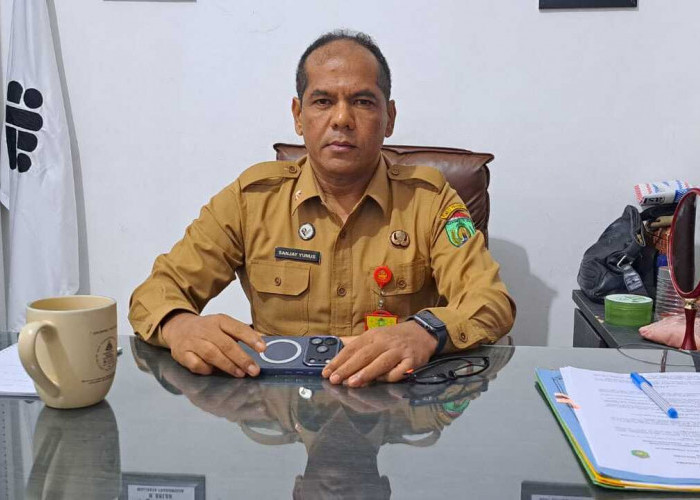 Kabar Baik Pencari Kerja Prabumulih, Disnaker Buka 4 Pelatihan Gratis dari Kemnaker
