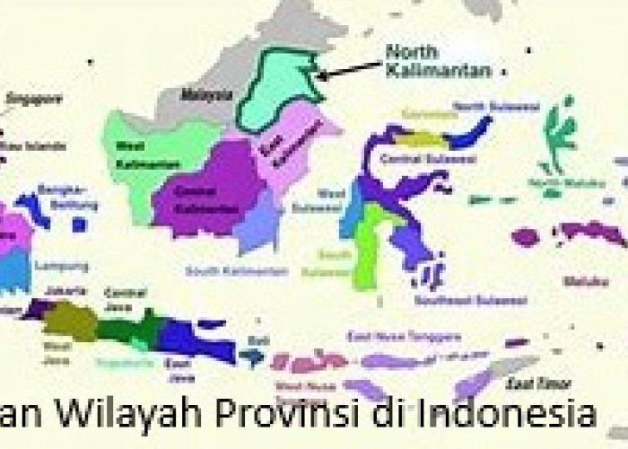 Rencana Pemekaran Wilayah Provinsi Indonesia: Gagasan dan Tantangan di Bawah Bayang-Bayang Moratorium DOB