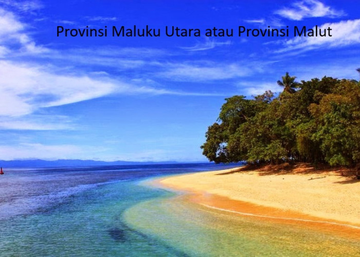 Era Baru Pembentukan Wilayah di Maluku Utara: 4 Kabupaten dan 1 Kota Resmi Dibentuk
