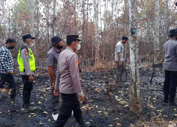 Karhutlah Kembali Terjadi, Kapolres OKU Timur Turun Langsung Cek Kebun Tebu PT LPI