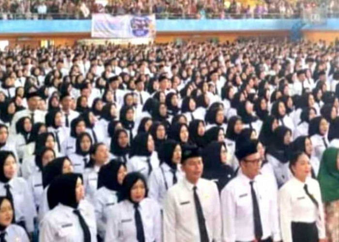 Belasan PPPK Paruh Waktu di OKU Batal Diangkat