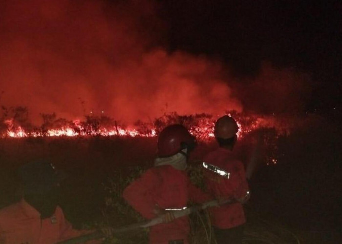 Lahan 10 Hektare di Tol Palindra Ogan Ilir Terbakar, Petugas Berjibaku Padamkan Api