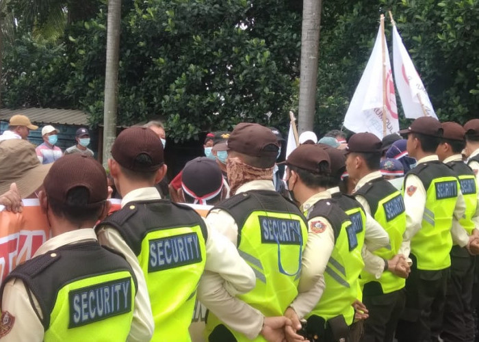 Tuntut Hilangkan Bau Tak Sedap, Debu Serbuk Kayu, dan Dana CSR, Warga Ogan Ilir Geruduk PT SPF