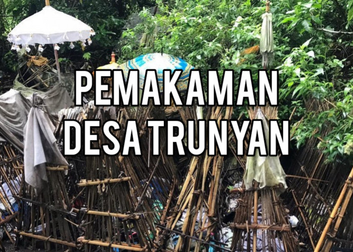 Tradisi Unik Pemakaman di Desa Trunyan, Bali: Jenazah Diletakkan di Bawah Pohon Taru Menyan