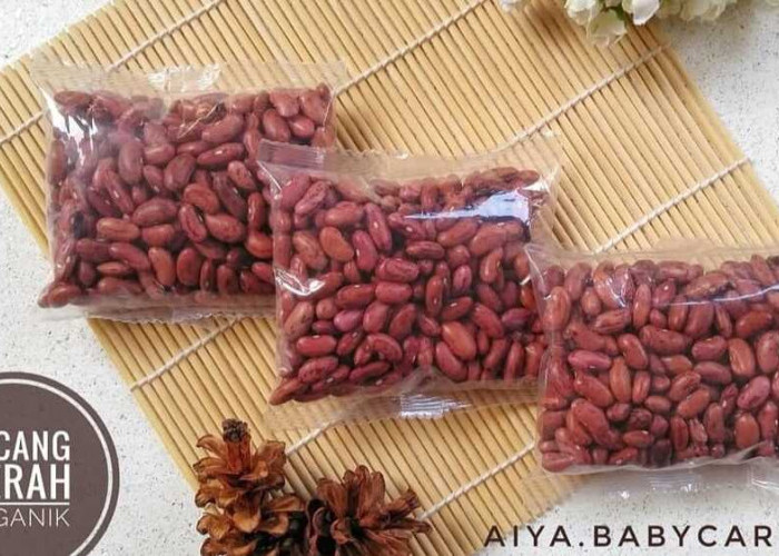 Manfaat Luar Biasa Kacang Merah: Sumber Nutrisi yang Kaya dan Lezat
