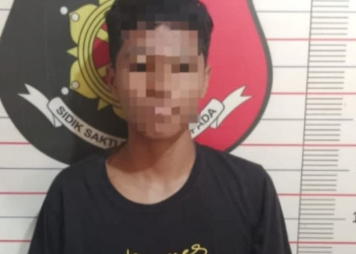 Nyolong 340 Kg Sawit Milik PT BSU, Dua Pelaku di OKU Ditangkap, Satu Buron