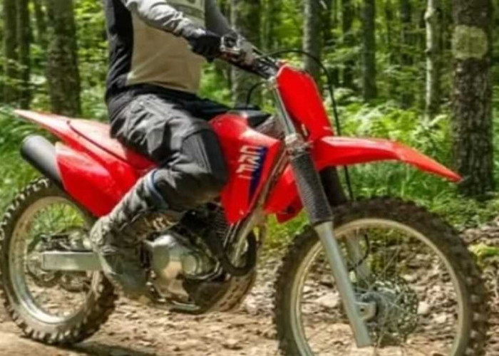 Mengulas Honda CRF300F 2026: Desain, Mesin, dan Fitur untuk Pecinta Trabasan