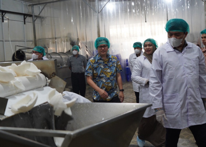 Kepala Badan Karantina Tinjau Pabrik Santan di Ogan Ilir, Dorong Hilirisasi dan Pastikan Keamanan Produk Ekspo