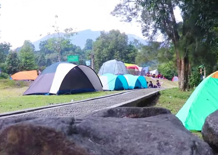 Mandalawangi Camping Ground: Pengalaman Camping Klasik ala Film Ghibli di Jantung Alam Cibodas