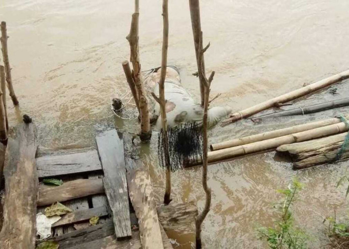 Heboh Warga Temukan Sosok Mayat di Jembatan Setan Sungai Ogan , Ternyata Sosok Ini