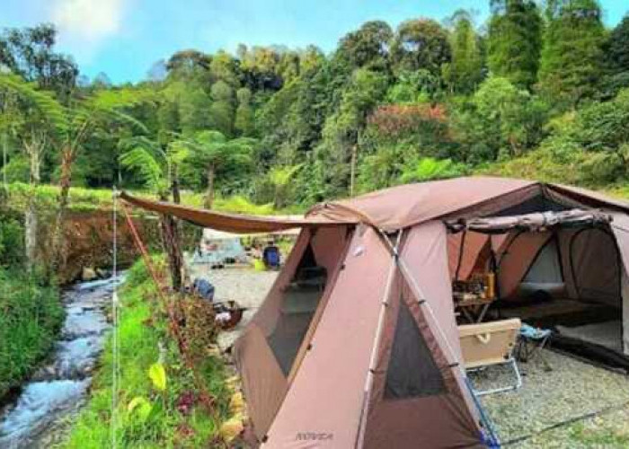 Djamuu Coffee Camp : Pengalaman Camping Keluarga Seru di Ciwidey Bandung