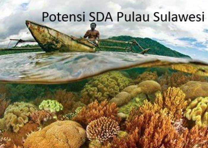 Pulau Sulawesi: Menyingkap Kekayaan Sumber Daya Alam yang Melimpah