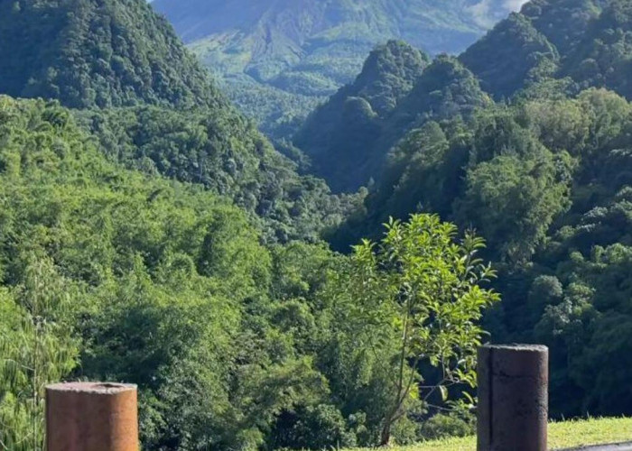 Intip Cerita Desa BRILiaN di Lereng Gunung Merapi yang Sukses Kembangkan Pariwisata Alam dan Agrikultur