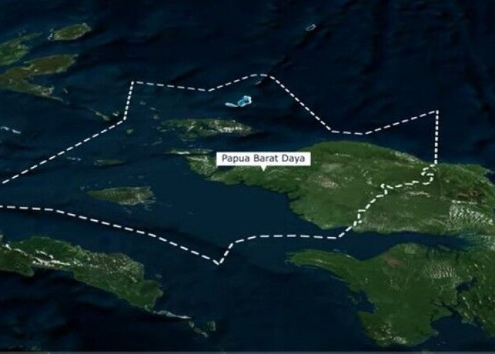 Profil dan Potensi 4 Kabupaten Calon Provinsi Papua Barat Tengah, Ternyata Kaya SDA dan Wisata
