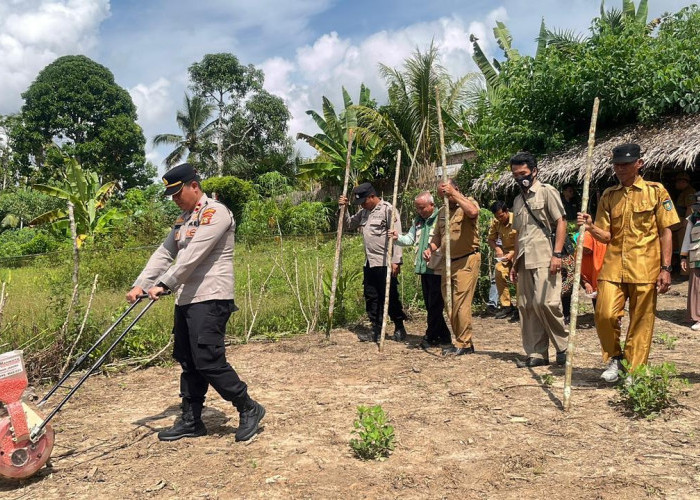 Polsek RKT Prabumulih Tanam Jagung Varietas Unggul, Perkuat Ketahanan Pangan di Desa Sinar Rambang