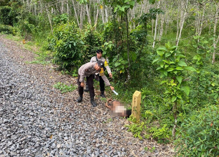 Diduga Tertabrak Kereta, ODGJ  Ditemukan Tewas