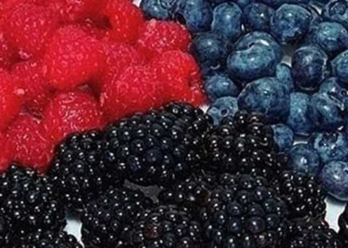 Keajaiban Buah Berry untuk Kesehatan Tubuh Anda