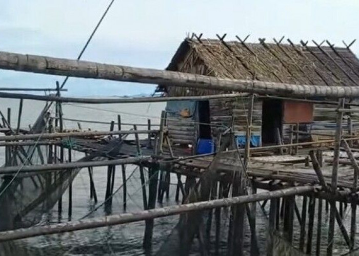 Mengapa Dijuluki Desa Tua Kaya Raya di Sumsel? Berikut 5 Fakta Unik Sungsang yang Jarang Diketahui