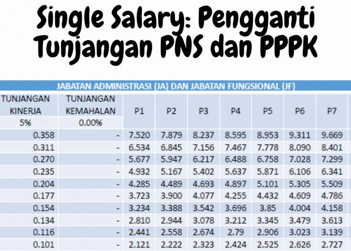 Skema Single Salary Mulai Disiapkan: Begini Selisih Gaji PNS dan PPPK Jika Diterapkan 2026