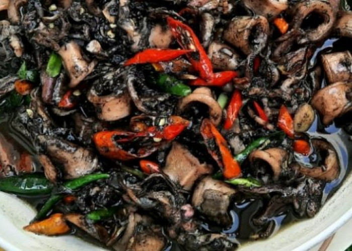 Cumi Hitam Pedas, Sajian Laut yang Menggoda Lidah dan Viral di Media Sosial