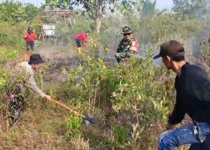 Lahan Terbakar di Baturaja Timur OKU, Kapolsek dan Tim Gabungan Berjibaku Padamkan Api