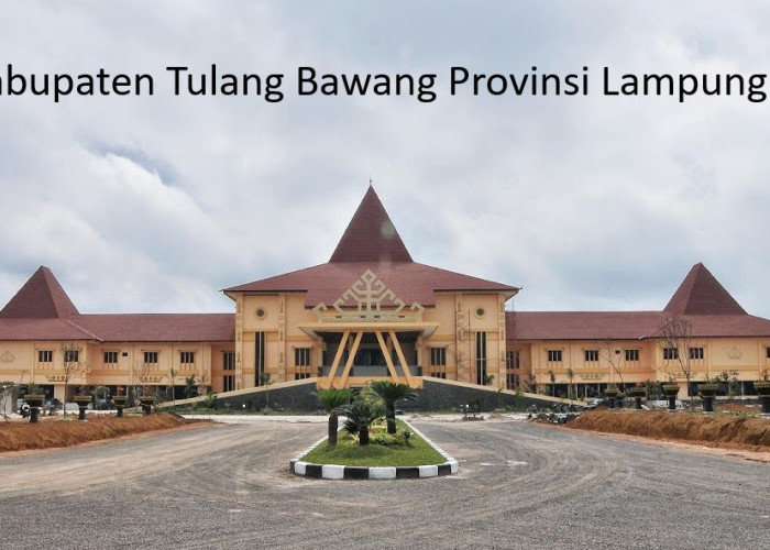 Pembentukan Kabupaten Tulang Bawang Timur Membuka Peluang Otonomi Baru di Lampung