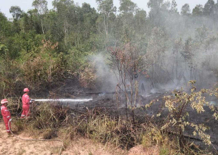 Komitmen Dukung Pemerintah, Pertamina EP Ramba Field Sigap Padamkan 17 Karhutla di Muba dan Banyuasin