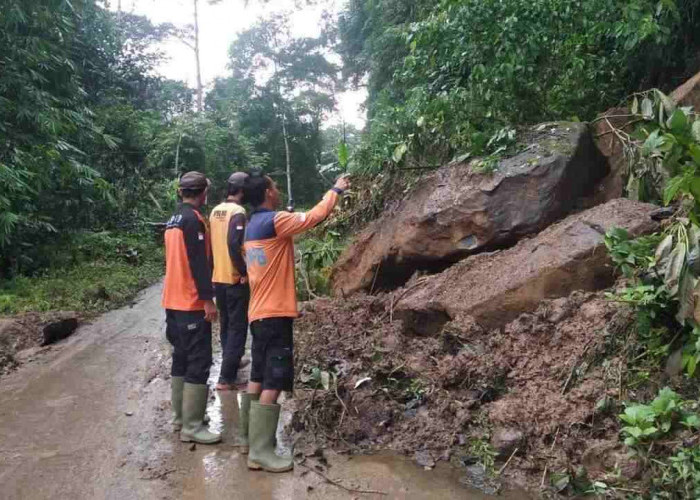 BPBD OKU Bersihkan Material Tanah Longsor di Jalan Desa Gunung Meraksa