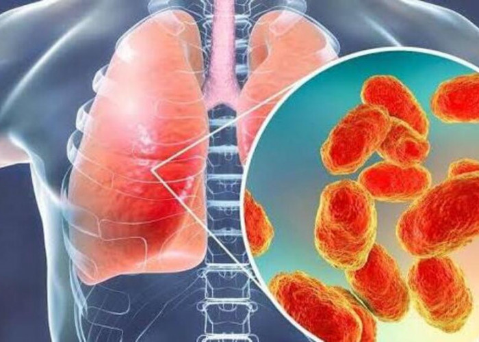 Ini Dia 11 Buah dan Sayuran Untuk Membersihkan Paru-paru