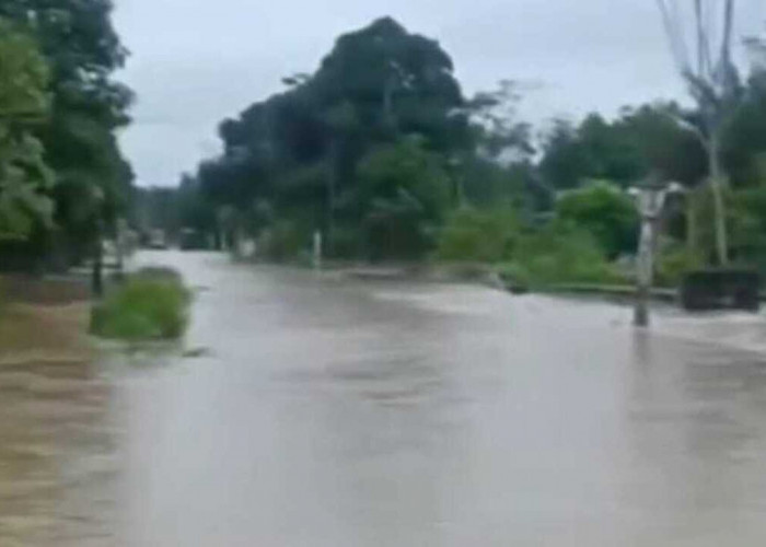 Desa Margo Bakti OKI Terendam Banjir, Dampak Curah Hujan yang Tinggi!