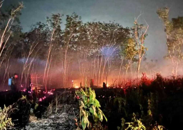 Kebakaran Lahan Kosong di Baturaden Lubuk Raja, Warga dan Petugas Bergerak Cepat