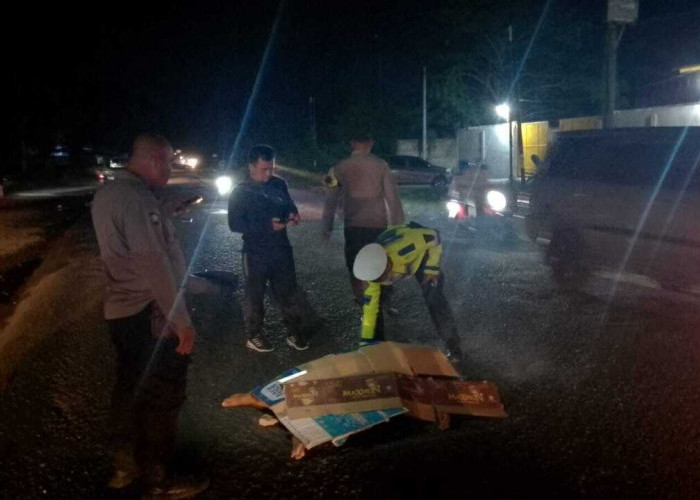 Daihatsu Ayla Tabrak Pejalan Kaki Tewas Ditempat
