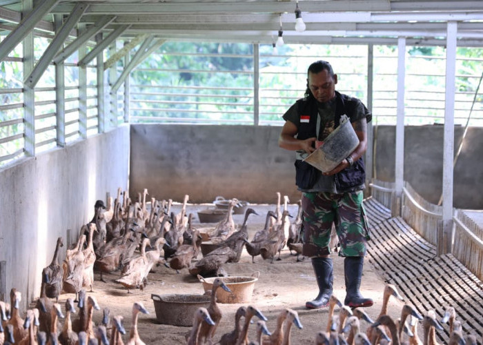 Bangun Ekonomi Lokal Berkelanjutan, PTBA Tingkatkan Kompetensi Kelompok Budidaya Itik Petelur