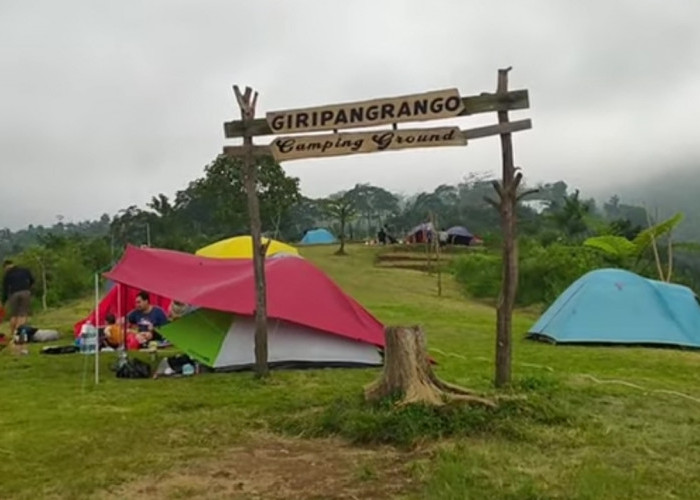 Giri Pangrango Camping Ground : Pilihan Tepat Buat Camper yang Cari Tempat Luas dan Terjangkau