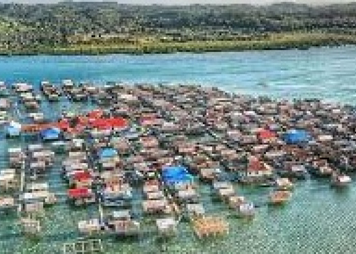 Pemekaran Wilayah Sulawesi Tenggara: Intip Potensi Daerah Otonomi Baru Provinsi Kepulauan Buton