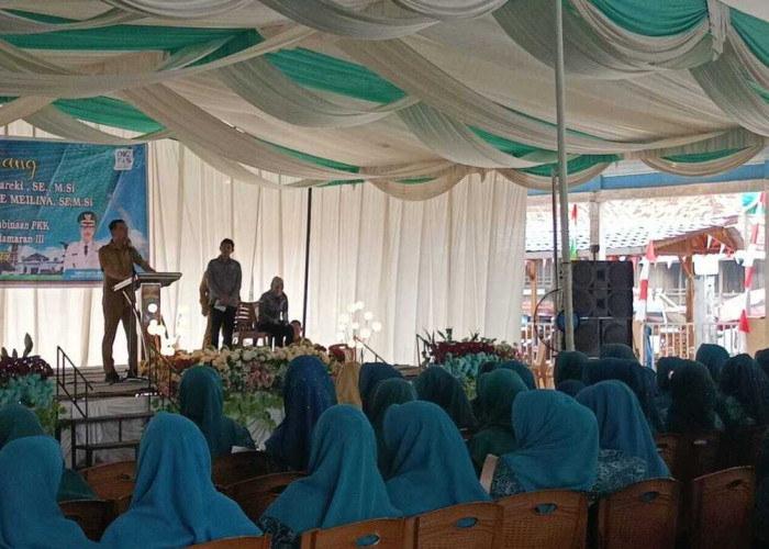 Pembuat Tikar Purun Pedamaran Mulai Sedikit, Bupati OKI Khawatir!