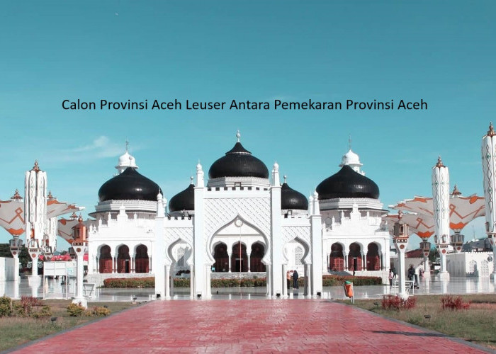 Pemekaran Provinsi Aceh Bentuk Dua Provinsi Baru, Aceh Lauser Antara dan Aceh Barat Selatan