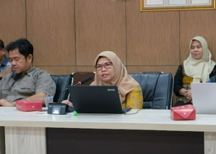 Pemprov Sumsel Lanjutkan Program Ekonomi Hijau dan Ketahanan Iklim Usai Lima Tahun Land4Lives