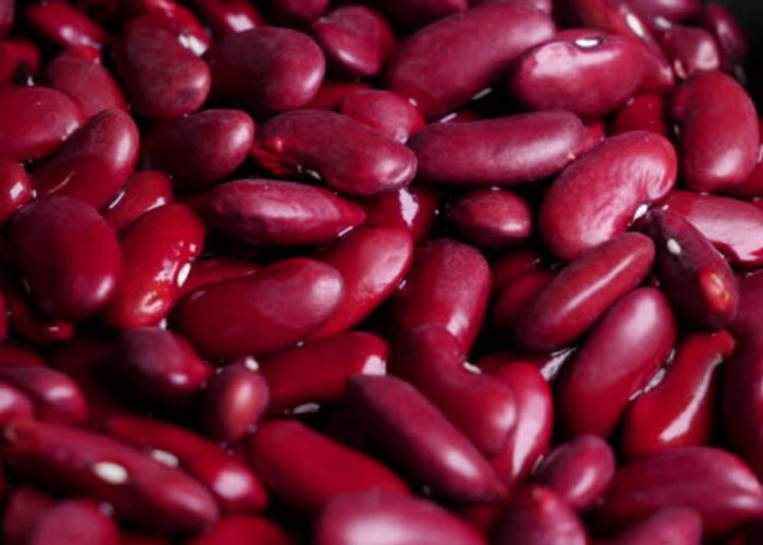 Manfaat Luar Biasa Kacang Merah untuk Ibu Hamil: Kekayaan Vitamin B Complex dan Folat