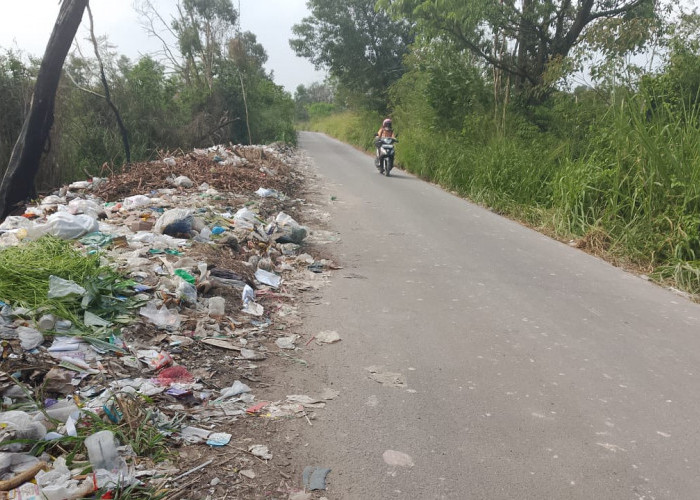 Pengelolaan Sampah di Ogan Ilir Memprihatinkan, Tumpukan Menggunung hingga TPA Tak Terurus